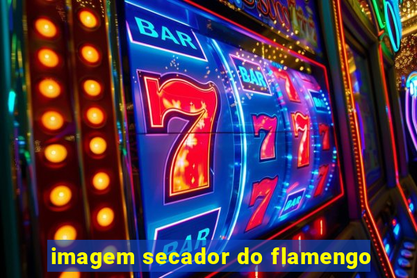 imagem secador do flamengo